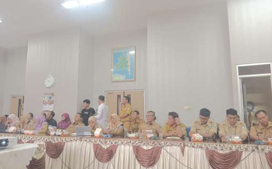 Monitoring Tindak Lanjut Hasil Pengawasan BPKP