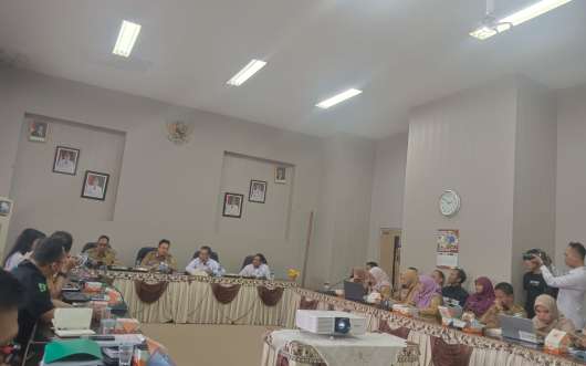 Monitoring Tindak Lanjut Hasil Pengawasan BPKP